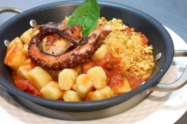 gnocchi alla rabiata com polvo grelhado